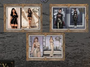C.Y. Fashion