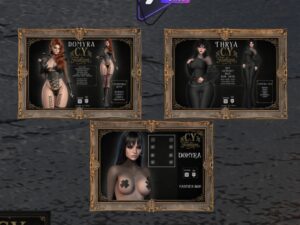 C.Y. Fashion