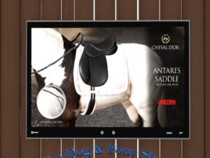 Cheval D’Or