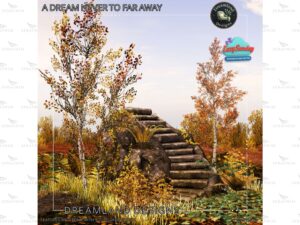 Dreamland Designs