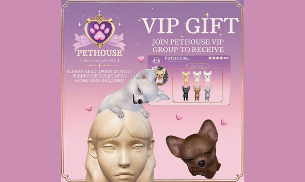 New VIP Group Gift at Pethouse