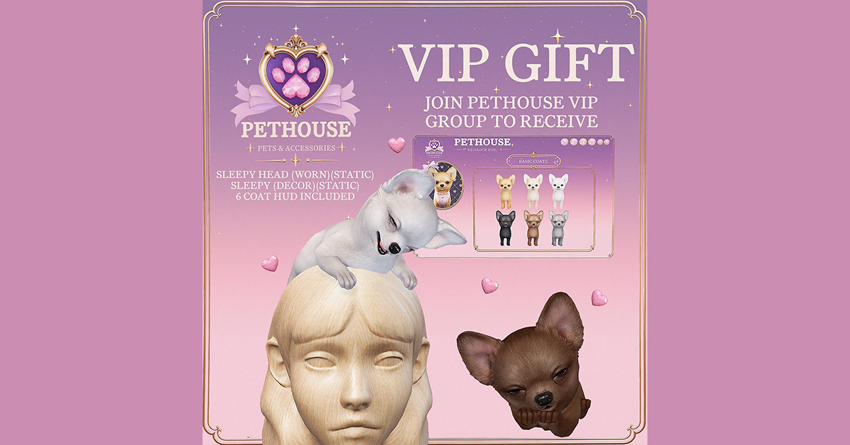 New VIP Group Gift at Pethouse
