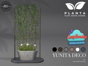 Planta
