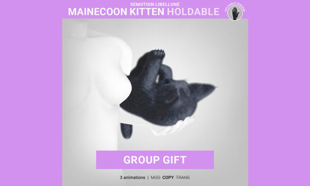New Group Gift Mainecoon Kitten at SEmotion Libellune