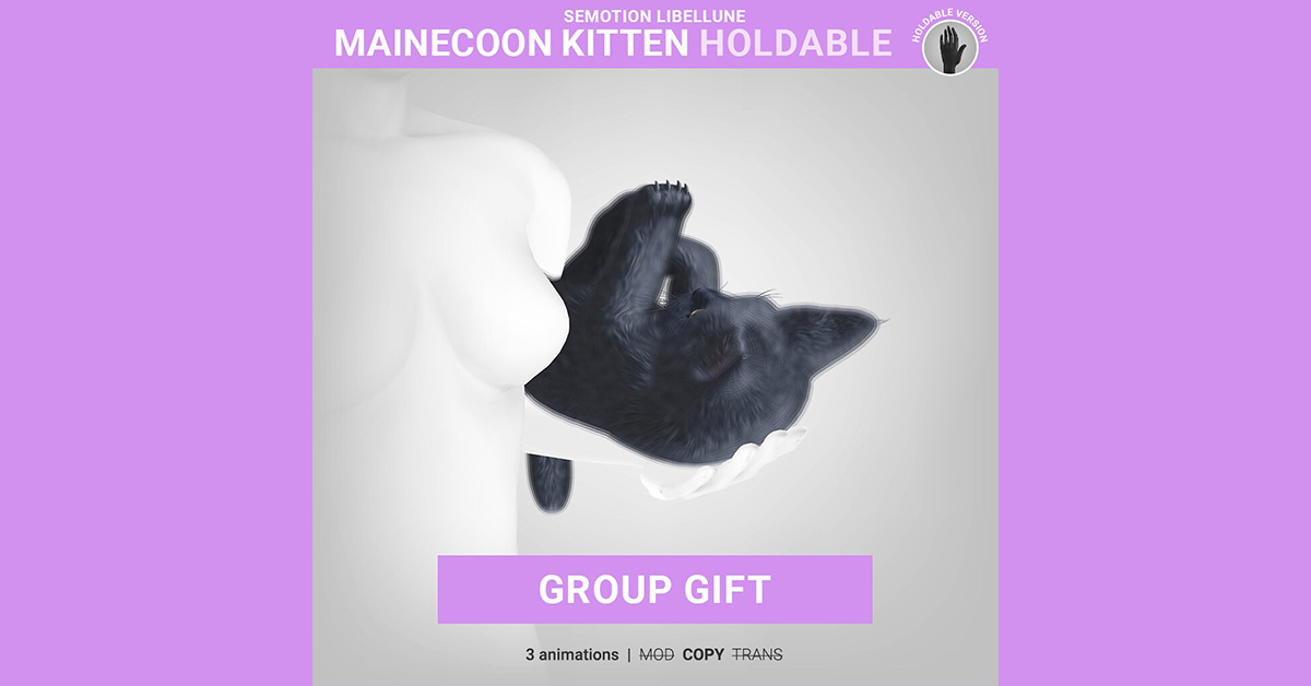 New Group Gift Mainecoon Kitten at SEmotion Libellune