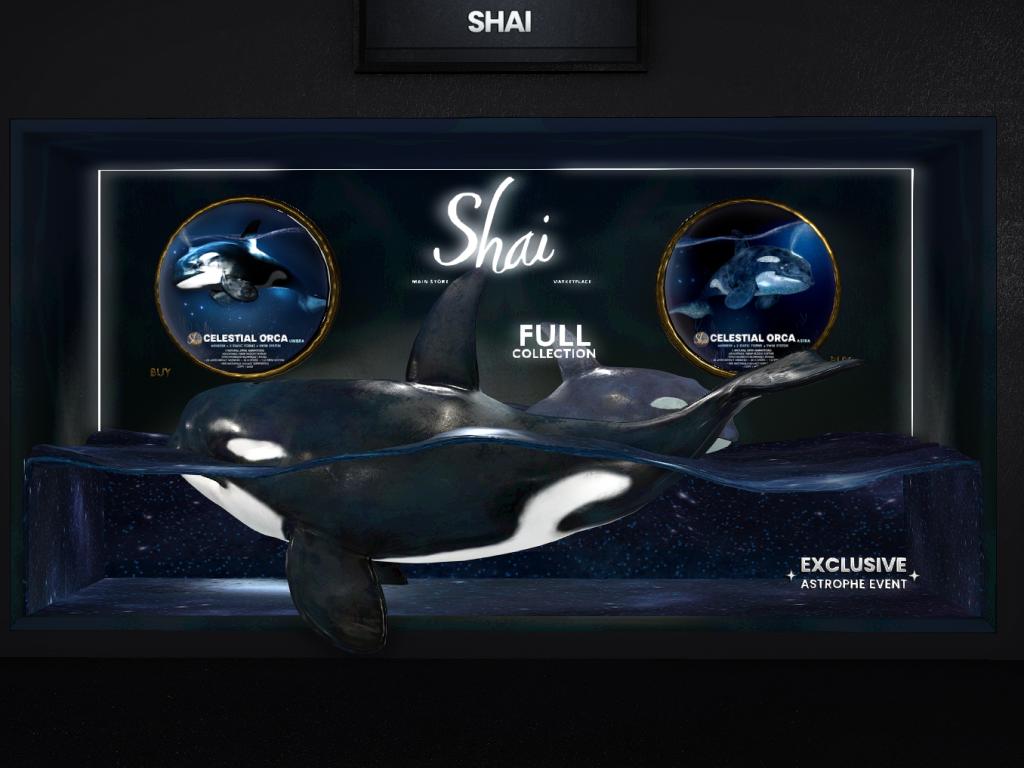 Shai