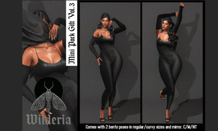 New Group Gift Vol. 3 at Wilderia