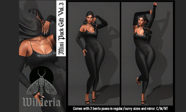 New Group Gift Vol. 3 at Wilderia