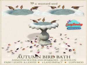 a mustard seed