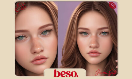 Beso Group Gift Elle Skin