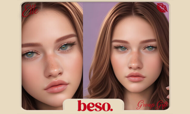 Beso Group Gift Elle Skin