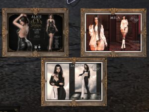 C.Y. Fashion