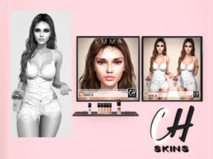 CH Skins