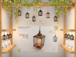 Cedar