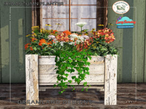 Dreamland Designs