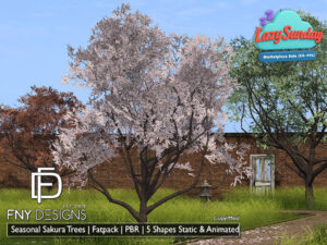 FNY Designs