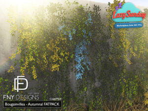 FNY Designs