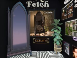 Fetch