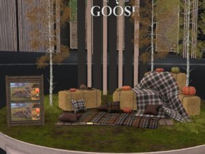 Goose