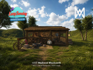 MM5 Design
