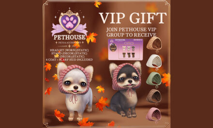 New Group Gift Yorkie in Autumn Scarf at Pethouse