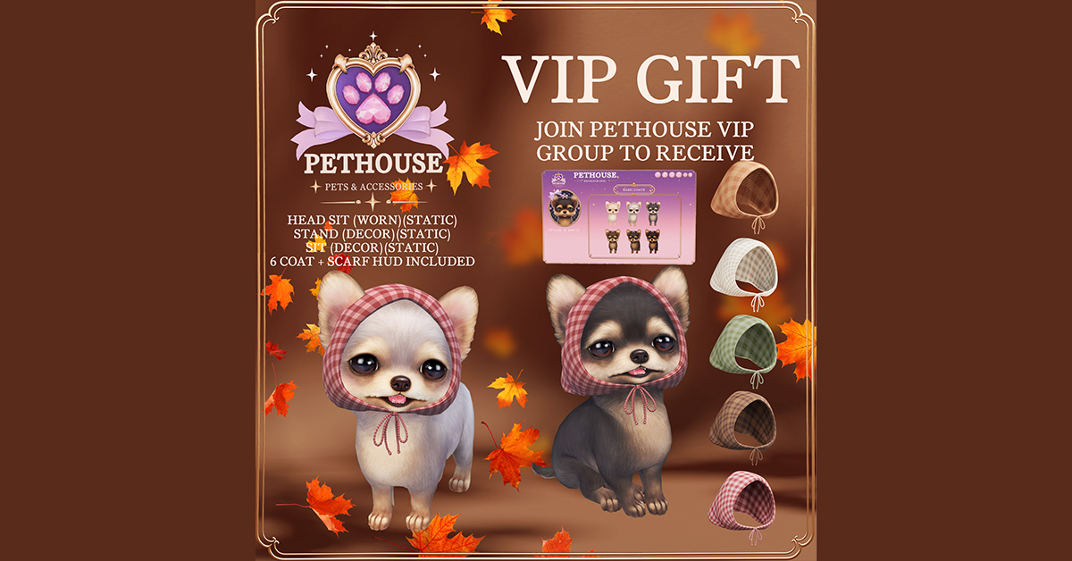 New Group Gift Yorkie in Autumn Scarf at Pethouse
