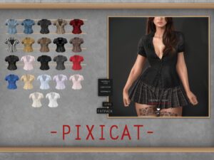 Pixicat