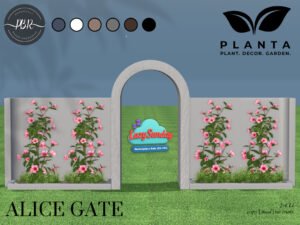 Planta