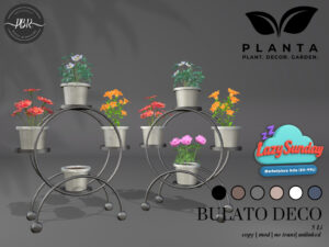Planta