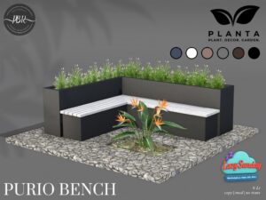 Planta