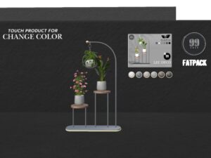 Planta