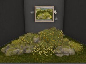 Tm Creation