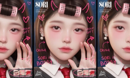 Tres Beau Group Gift – Sori Skin