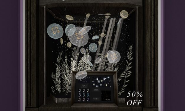 50% Off from Anc Ltd. Exclusively at The Outlet
