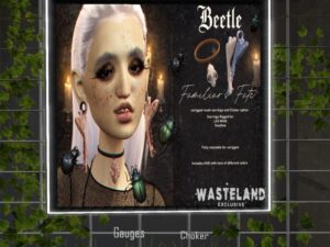 Beetle