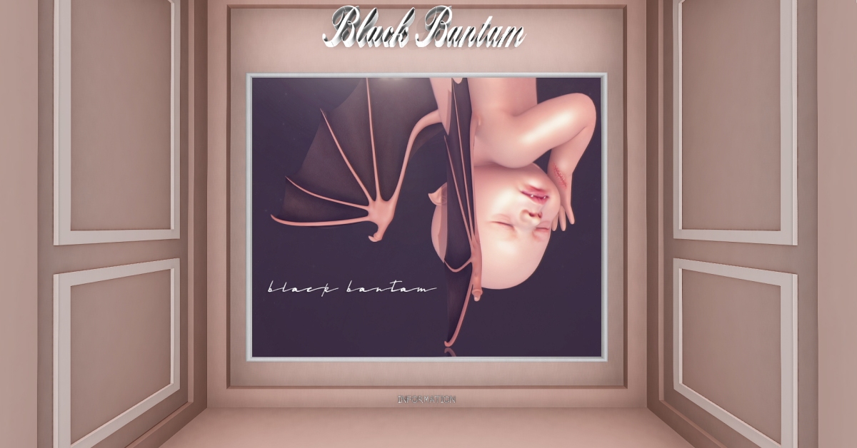 50% Off from Black Bantam Only at The Outlet