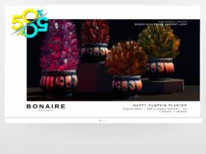 Bonaire Architects