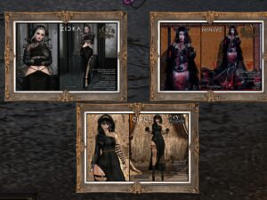 C.Y. Fashion