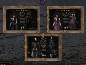 C.Y. Fashion