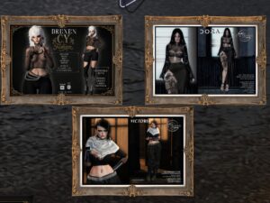 C.Y. Fashion