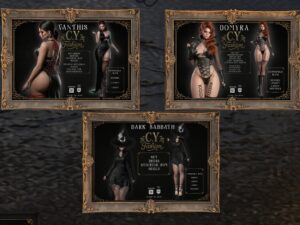 C.Y. Fashion