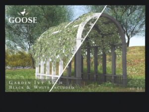 Goose
