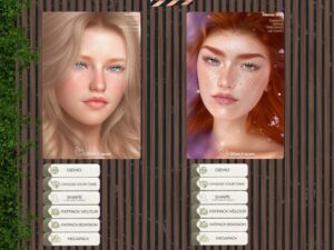 Other Faces