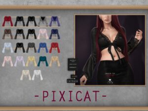 Pixicat