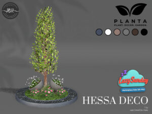 Planta
