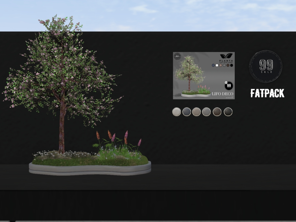 Planta