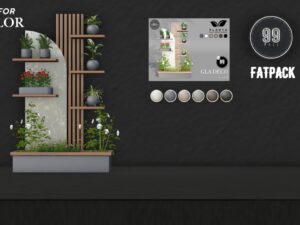 Planta