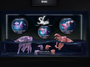 Shai